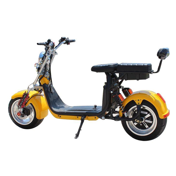 2 Wheel Electric Scooter