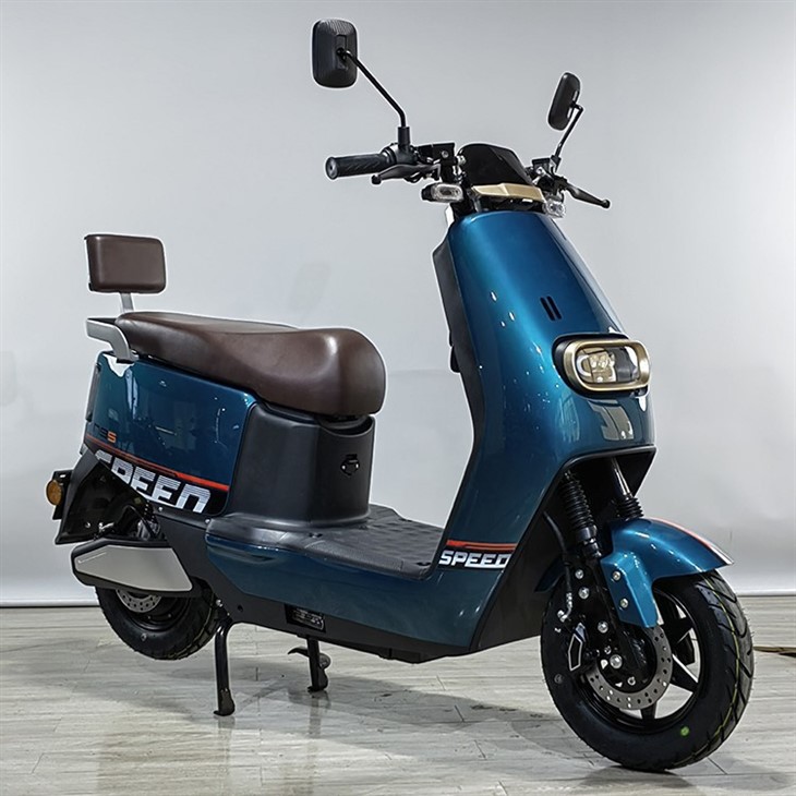 Light Electric Scooter
